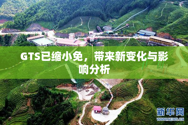 GTS已缩小免，带来新变化与影响分析