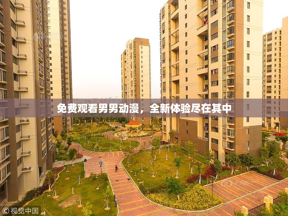 免费观看男男动漫，全新体验尽在其中