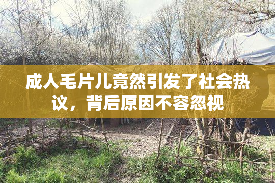 成人毛片儿竟然引发了社会热议，背后原因不容忽视
