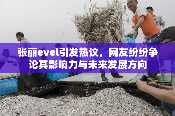 张丽evel引发热议，网友纷纷争论其影响力与未来发展方向