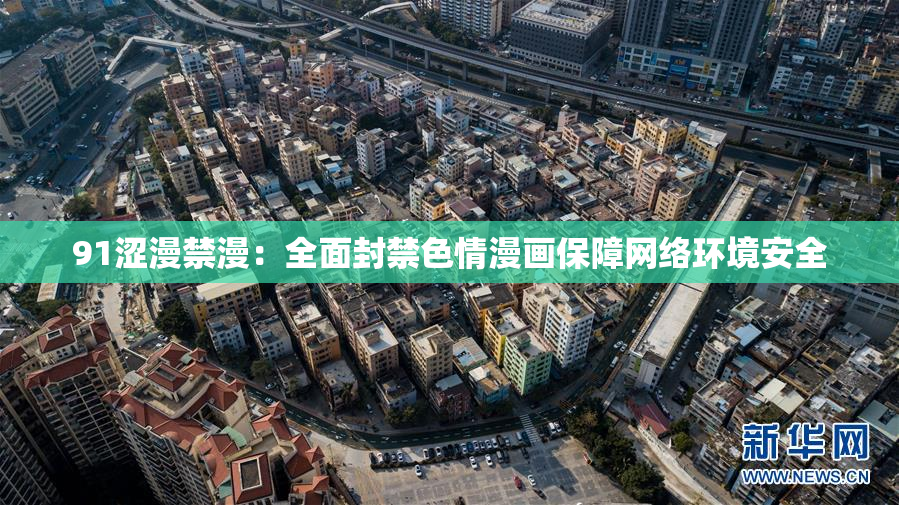 91涩漫禁漫：全面封禁色情漫画保障网络环境安全