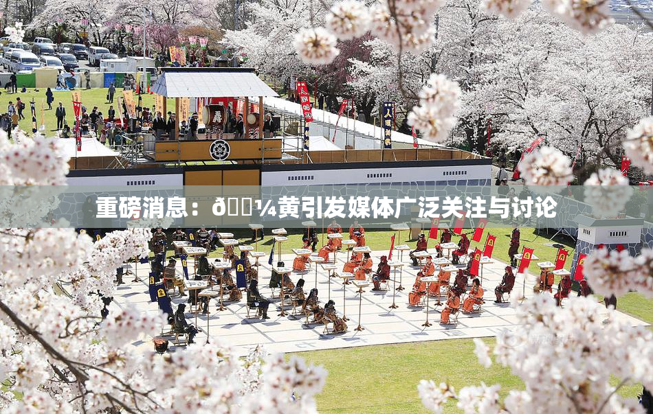 重磅消息：🌼黄引发媒体广泛关注与讨论