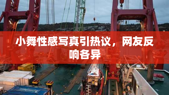 小舞性感写真引热议，网友反响各异