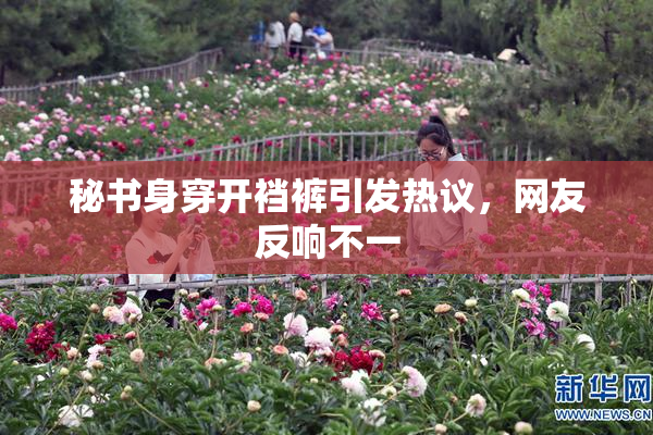 秘书身穿开裆裤引发热议，网友反响不一