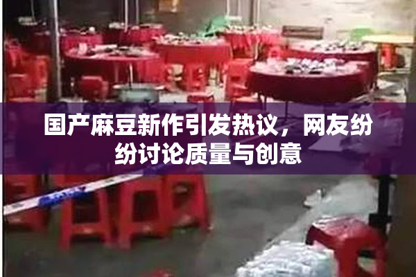 国产麻豆新作引发热议，网友纷纷讨论质量与创意