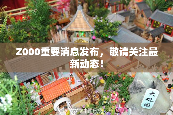 Z000重要消息发布，敬请关注最新动态！