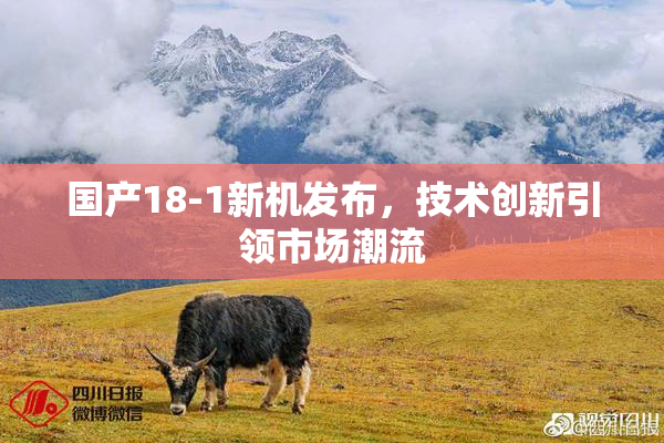 国产18-1新机发布，技术创新引领市场潮流
