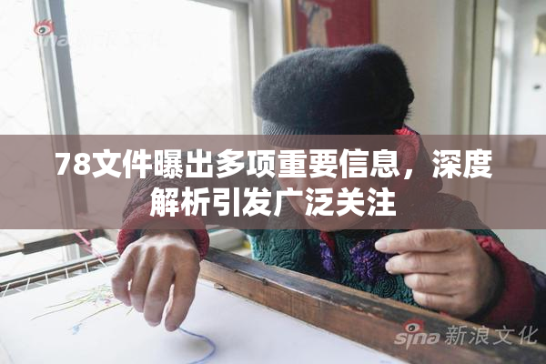78文件曝出多项重要信息，深度解析引发广泛关注