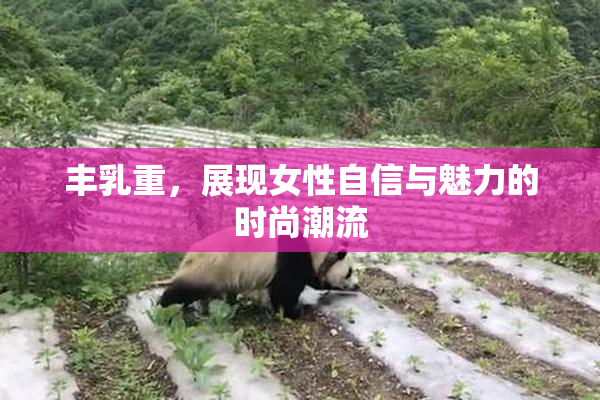 丰乳重，展现女性自信与魅力的时尚潮流