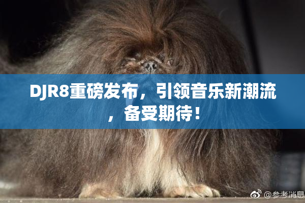 DJR8重磅发布，引领音乐新潮流，备受期待！