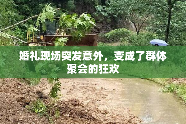 婚礼现场突发意外，变成了群体聚会的狂欢