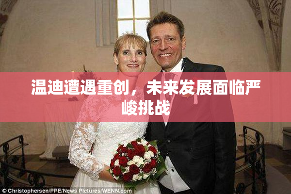 温迪遭遇重创，未来发展面临严峻挑战