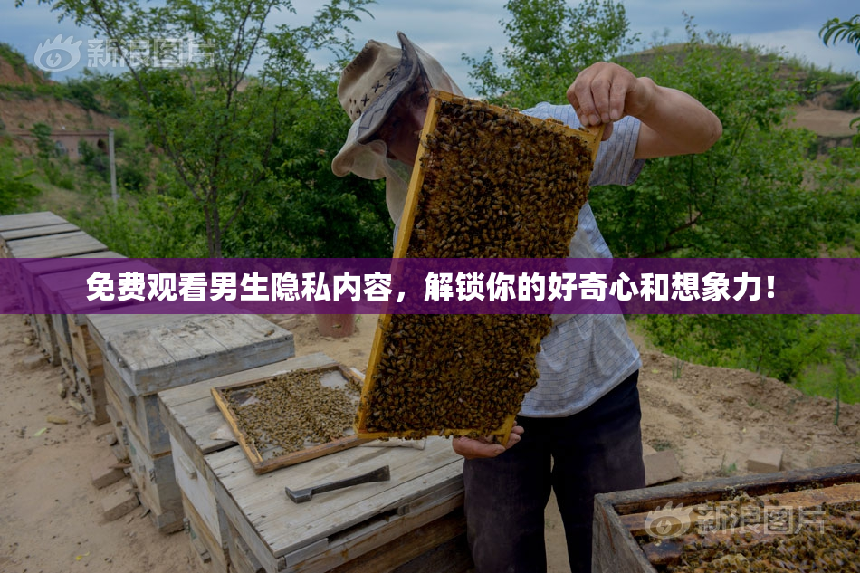 免费观看男生隐私内容，解锁你的好奇心和想象力！