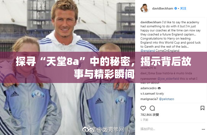 探寻“天堂8a”中的秘密，揭示背后故事与精彩瞬间
