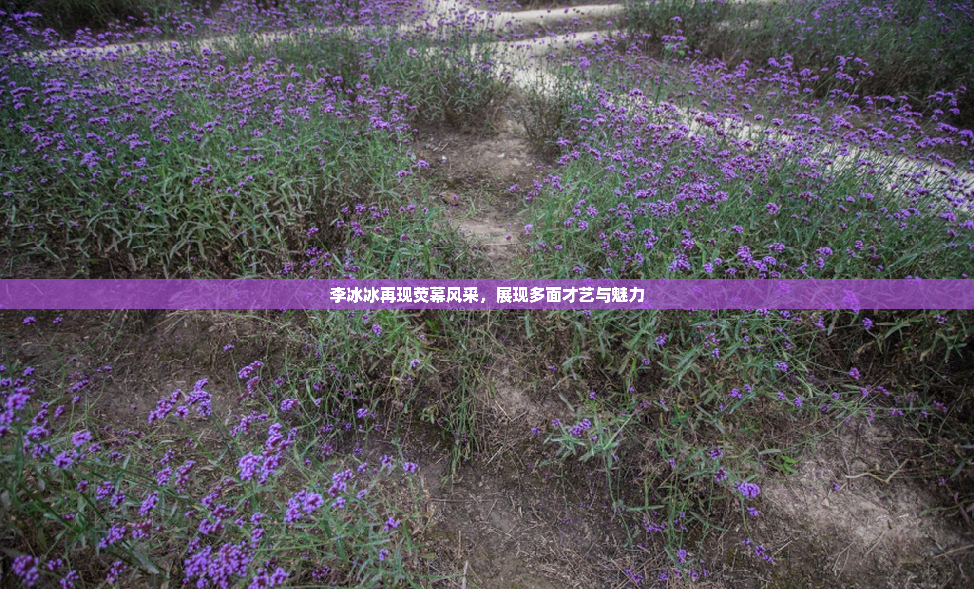 李冰冰再现荧幕风采，展现多面才艺与魅力