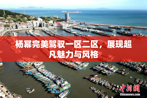 杨幂完美驾驭一区二区，展现超凡魅力与风格