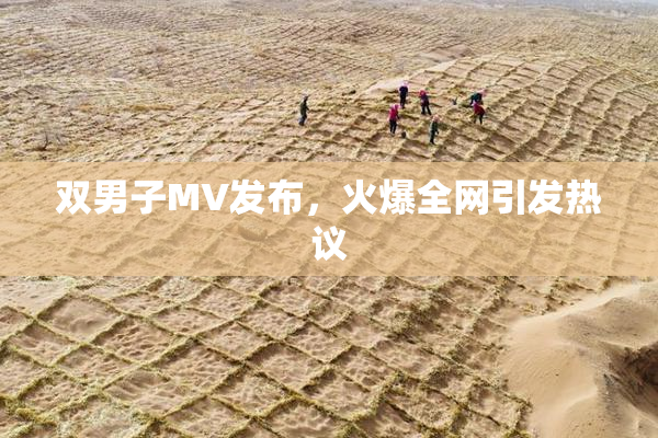 双男子MV发布，火爆全网引发热议