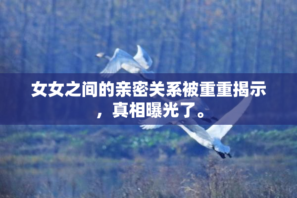 女女之间的亲密关系被重重揭示，真相曝光了。