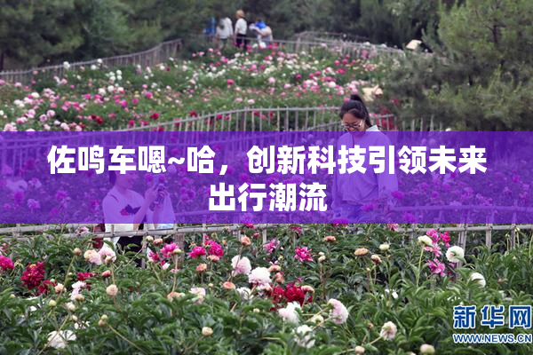 佐鸣车嗯~哈，创新科技引领未来出行潮流