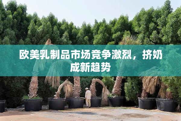 欧美乳制品市场竞争激烈，挤奶成新趋势