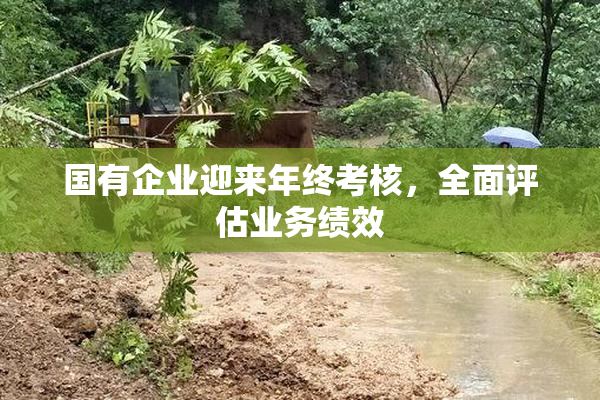 国有企业迎来年终考核，全面评估业务绩效