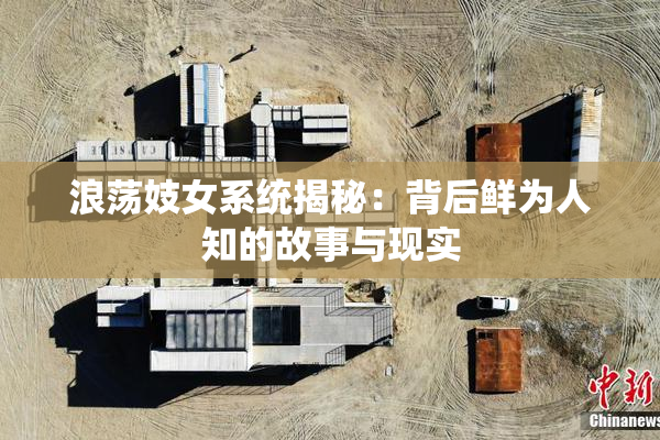 浪荡妓女系统揭秘：背后鲜为人知的故事与现实