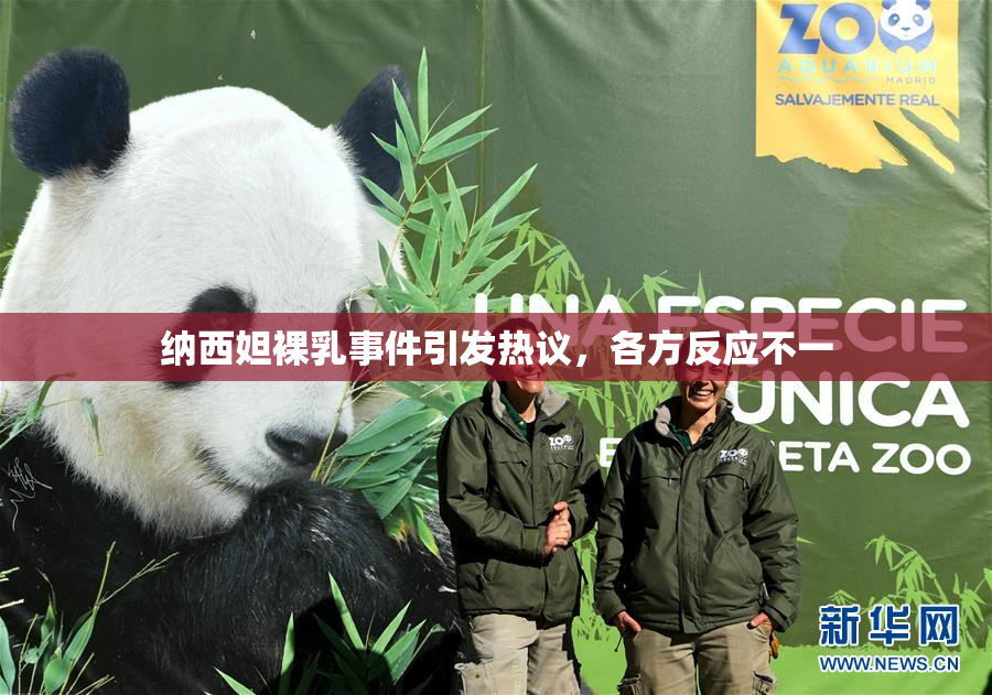 纳西妲裸乳事件引发热议，各方反应不一