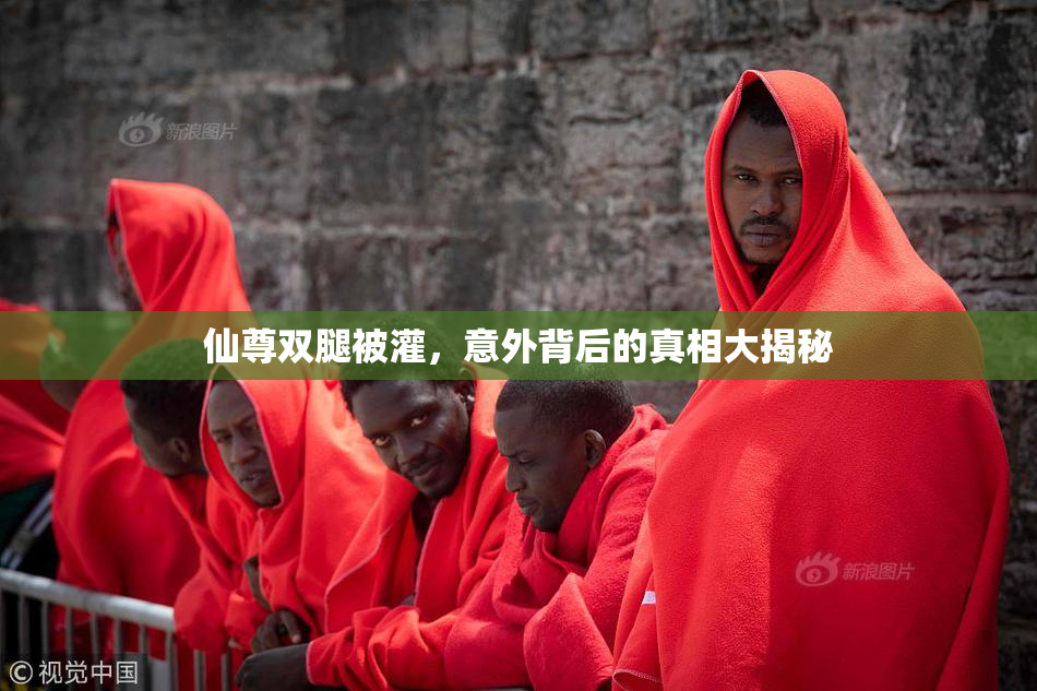 仙尊双腿被灌，意外背后的真相大揭秘
