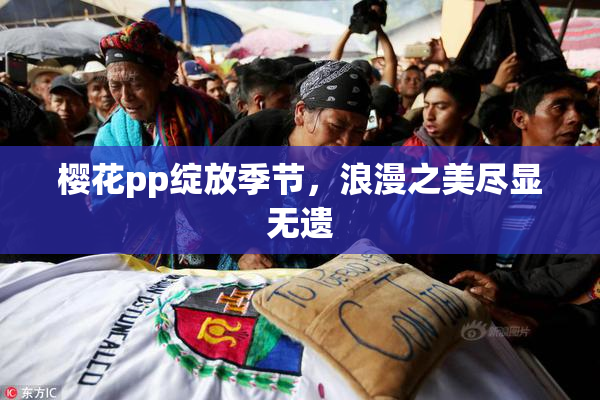 樱花pp绽放季节，浪漫之美尽显无遗