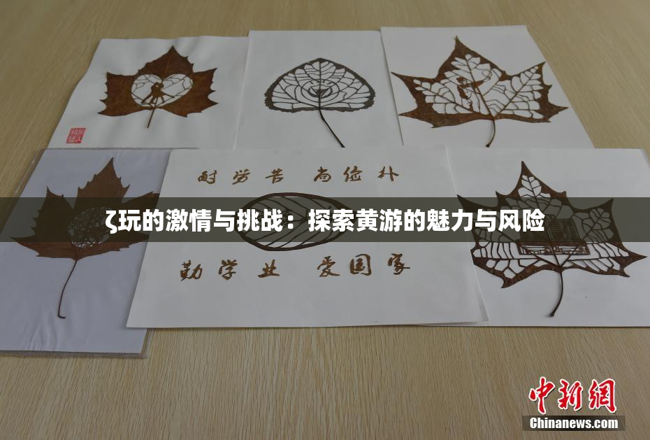 ζ玩的激情与挑战：探索黄游的魅力与风险
