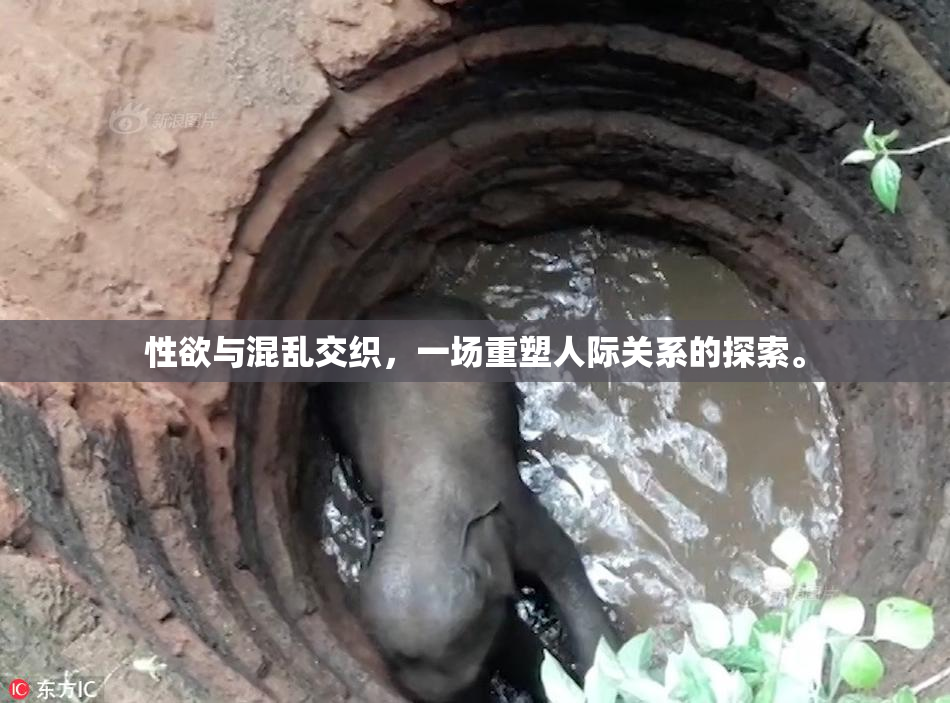 性欲与混乱交织，一场重塑人际关系的探索。
