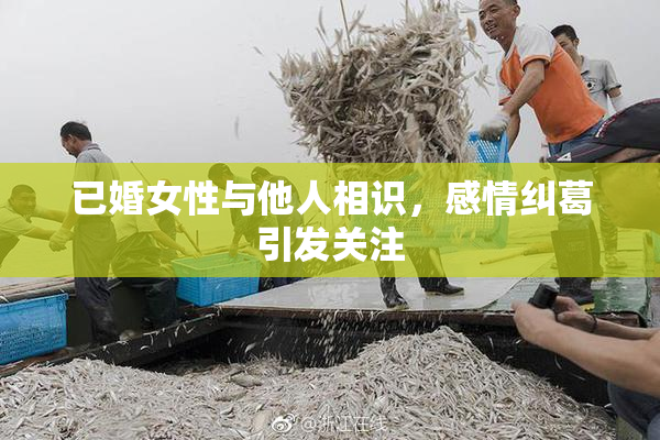 已婚女性与他人相识，感情纠葛引发关注