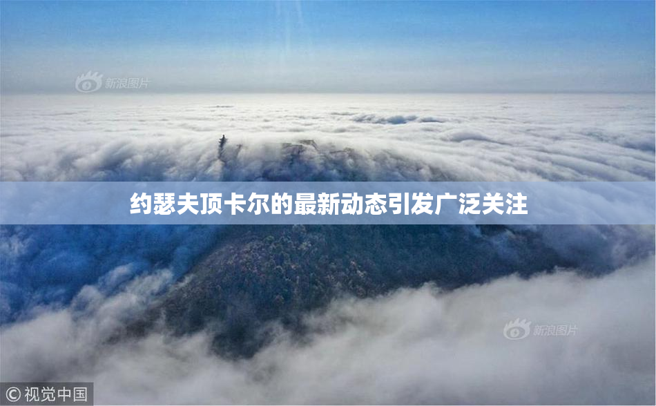 约瑟夫顶卡尔的最新动态引发广泛关注
