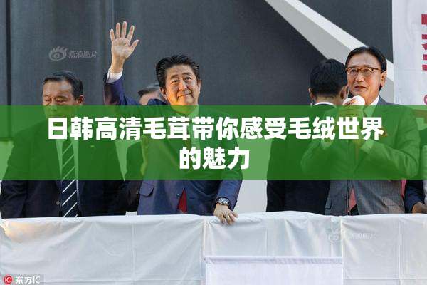 日韩高清毛茸带你感受毛绒世界的魅力
