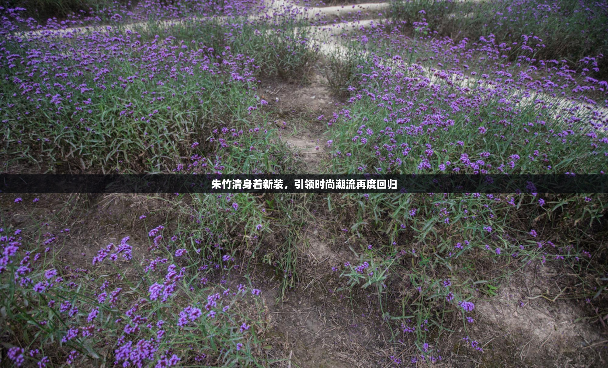 朱竹清身着新装，引领时尚潮流再度回归
