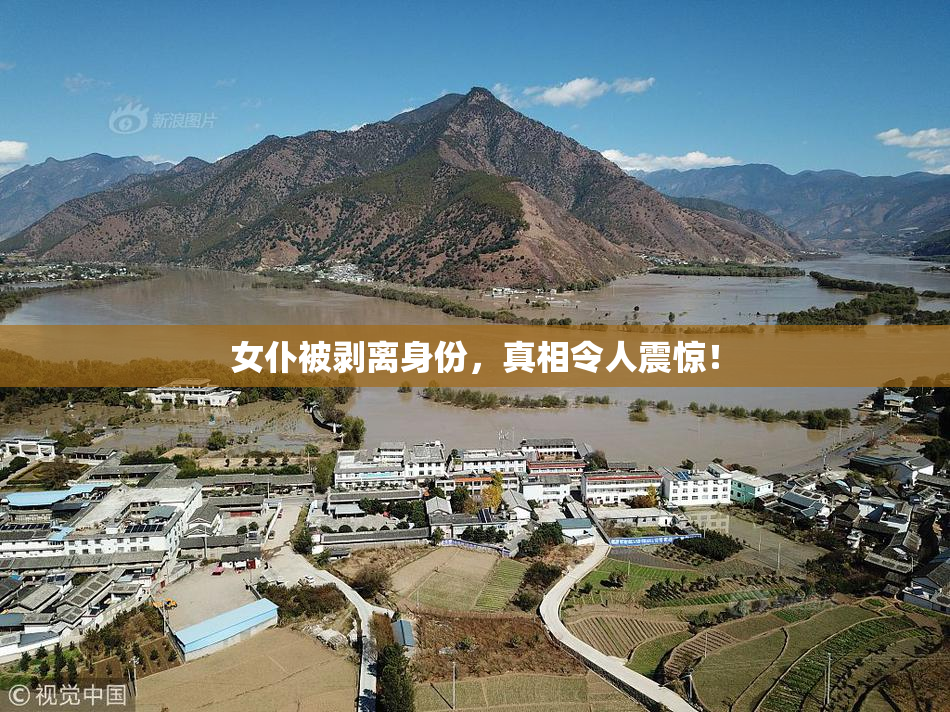 女仆被剥离身份，真相令人震惊！