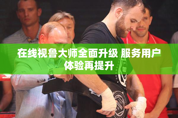 在线视鲁大师全面升级 服务用户体验再提升