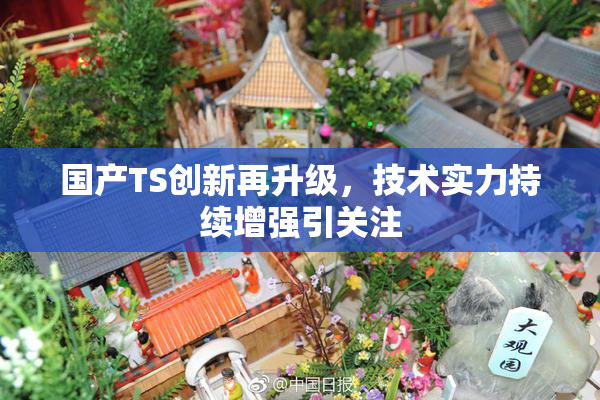 国产TS创新再升级，技术实力持续增强引关注