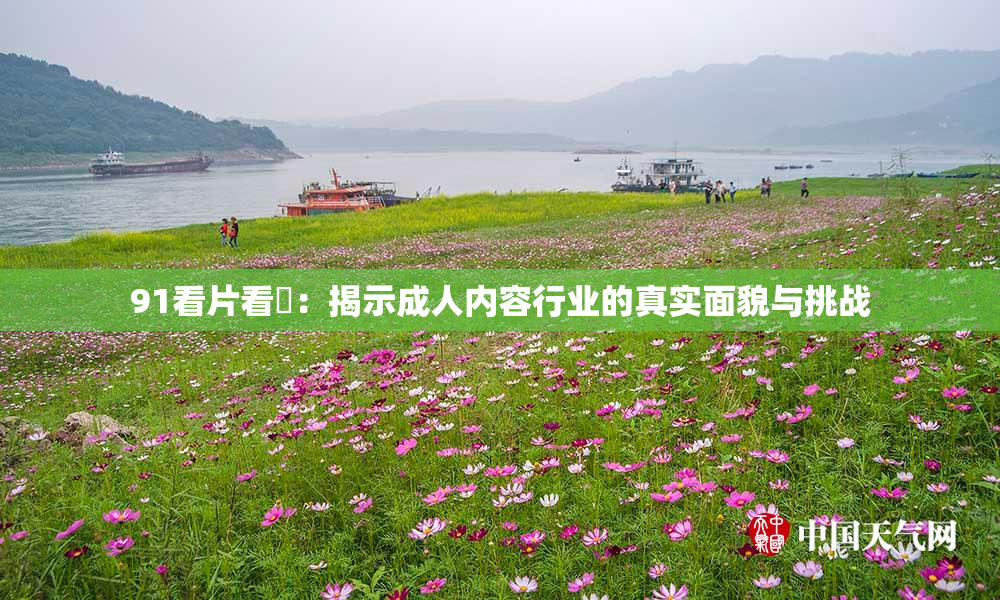 91看片看婬：揭示成人内容行业的真实面貌与挑战