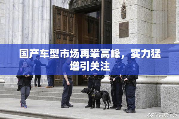 国产车型市场再攀高峰，实力猛增引关注