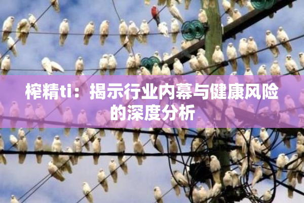 榨精ti：揭示行业内幕与健康风险的深度分析
