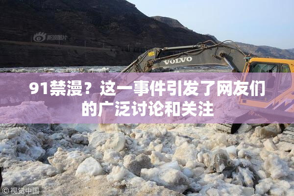 91禁漫？这一事件引发了网友们的广泛讨论和关注