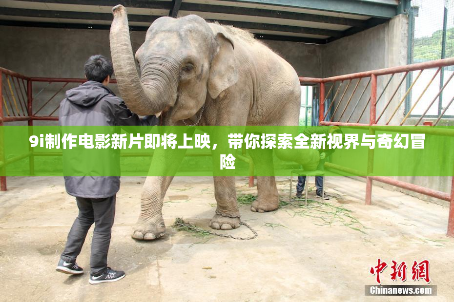 9i制作电影新片即将上映，带你探索全新视界与奇幻冒险