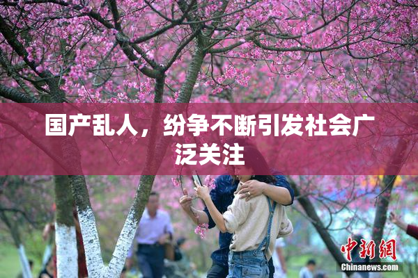 国产乱人，纷争不断引发社会广泛关注
