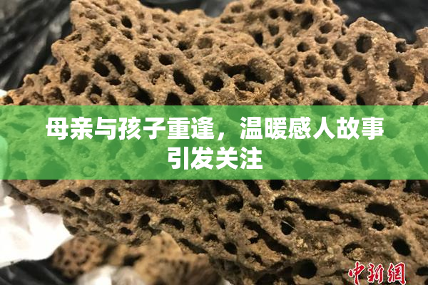 母亲与孩子重逢，温暖感人故事引发关注