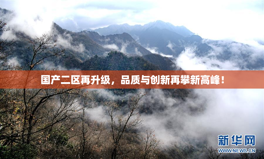 国产二区再升级，品质与创新再攀新高峰！
