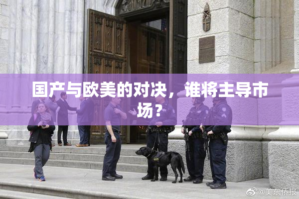 国产与欧美的对决，谁将主导市场？