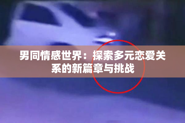 男同情感世界：探索多元恋爱关系的新篇章与挑战