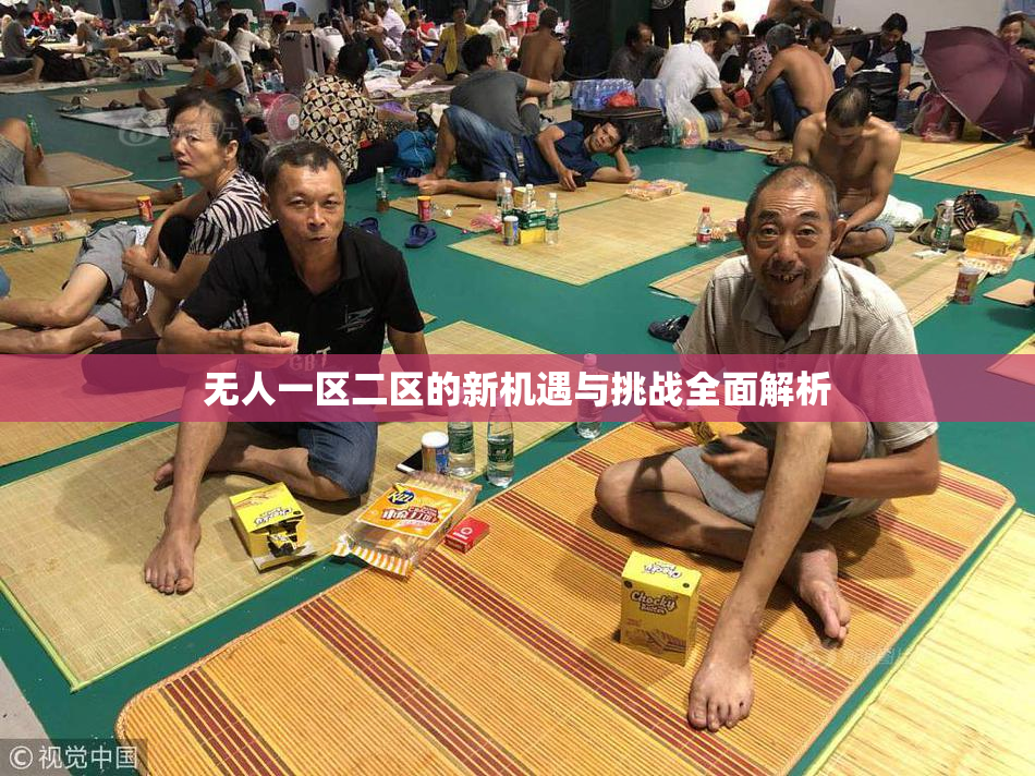 无人一区二区的新机遇与挑战全面解析