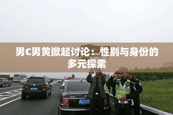 男C男黄掀起讨论：性别与身份的多元探索